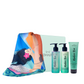 Moisture Bae Cation - Travel Kit - Joviality-eg